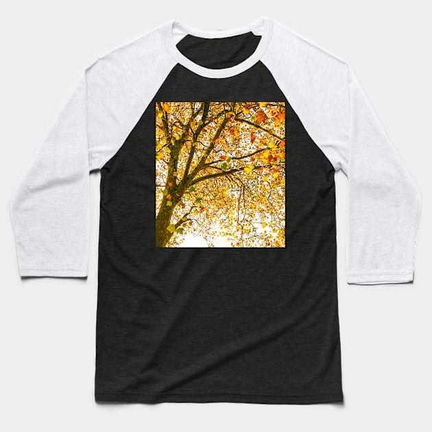 Autumn Leaves - Tree leaves changing colour Baseball T-Shirt by Upbeat Traveler